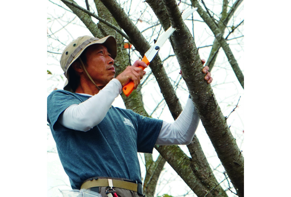 SILKY Folding Saw Gomboy Curve SILKY Folding Saw Gomboy Curve